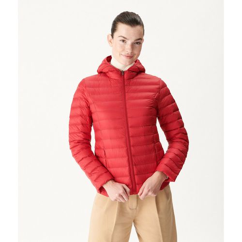 Cloe Quilted Padded Jacket with Hood and Zip Fastening - JOTT - Modalova
