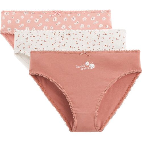Pack of 3 Knickers in Cotton - LA REDOUTE COLLECTIONS - Modalova