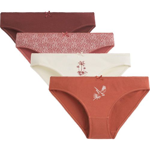 Pack of 4 Knickers in Stretch Cotton - LA REDOUTE COLLECTIONS - Modalova