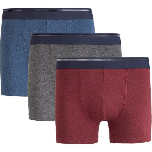 Pack of 3 Hipsters in Organic Cotton - LA REDOUTE COLLECTIONS - Modalova