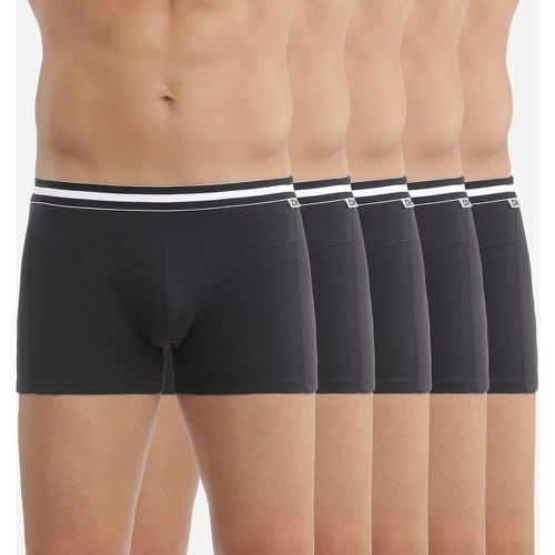 Pack of 5 Hipsters in Cotton - Dim - Modalova