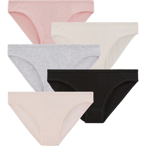 Pack of 5 Knickers in Cotton - PETIT BATEAU - Modalova