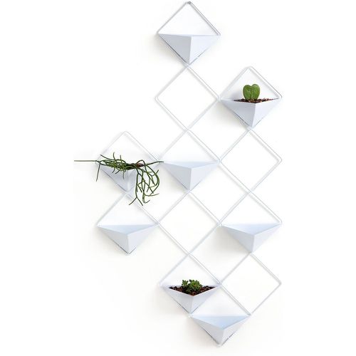 Ikebana Wall-mounted Flower Pots - LA REDOUTE INTERIEURS - Modalova