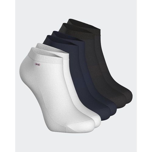 Pack of 3 Pairs of Trainer Socks in Cotton Mix - EDEN PARK - Modalova