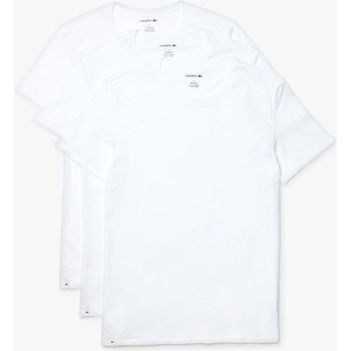 Pack of 3 T-Shirts in Cotton with Crew Neck - Lacoste - Modalova