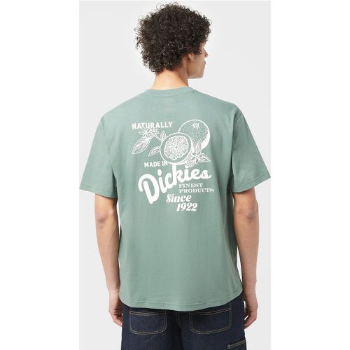 Dickies Raven T-Shirt, Green - Dickies - Modalova