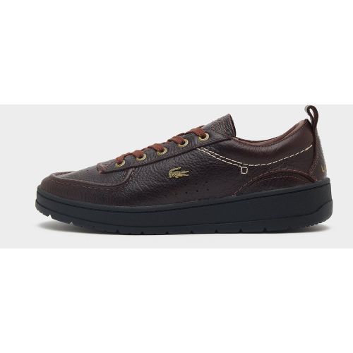 Lacoste Umpire, Brown - Lacoste - Modalova