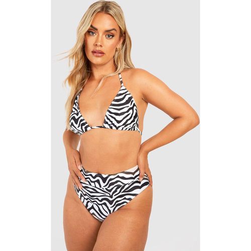 Slip bikini Plus Size a vita alta con stampa zebrata - boohoo - Modalova
