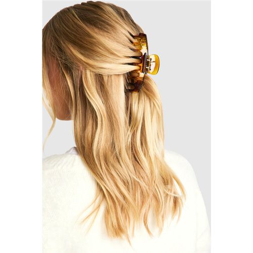 Fermaglio per capelli ad artiglio color tartaruga - boohoo - Modalova