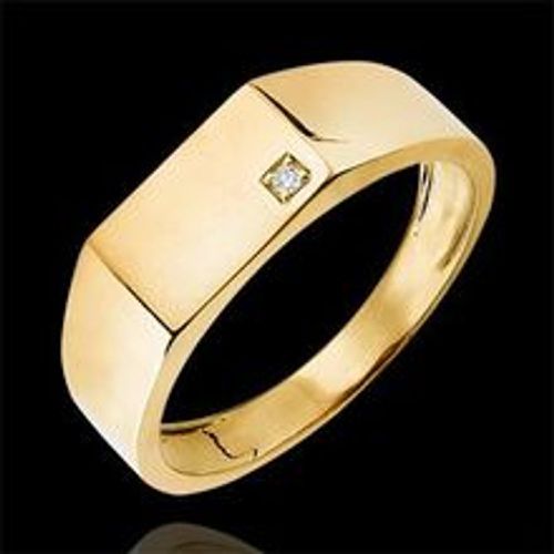 Edenly Ring DÃ¤mmerschein - Siegelring Hector - 9 Karat Gelbgold und Diamant - Fashion24 DE - Modalova