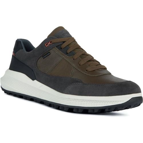 Sneakers - U Pg1x B Abx U36E0A 02285 C6404 Military/Dk Grey - Geox - Modalova