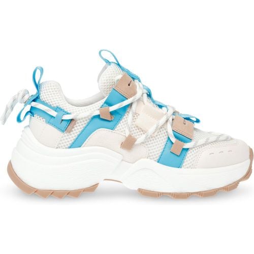 Sneakers Tazmania Sneaker SM11002419-04005-BBO - Steve Madden - Modalova