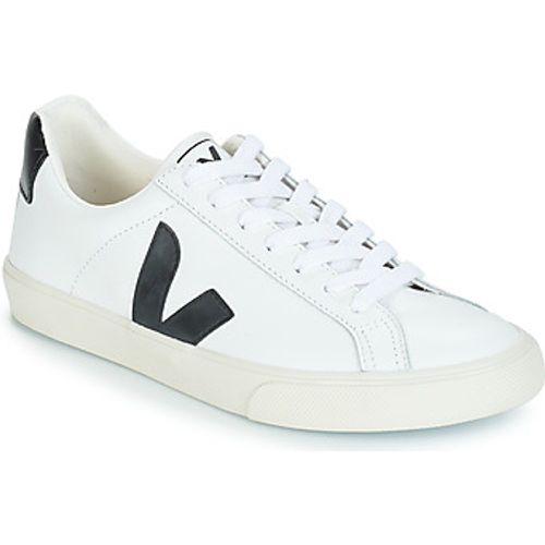 ESPLAR LOW LOGO women's Shoes (Trainers) in - Veja - Modalova