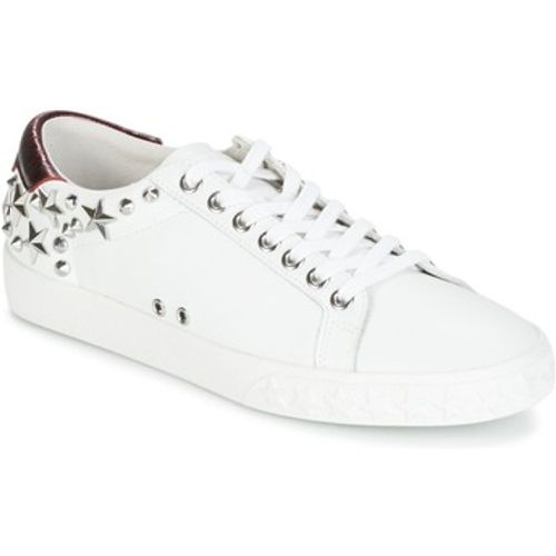 DAZED women's Shoes (Trainers) in - Ash - Modalova