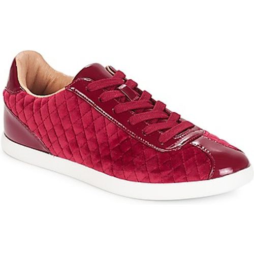 VELVET women's Shoes (Trainers) in - André - Modalova