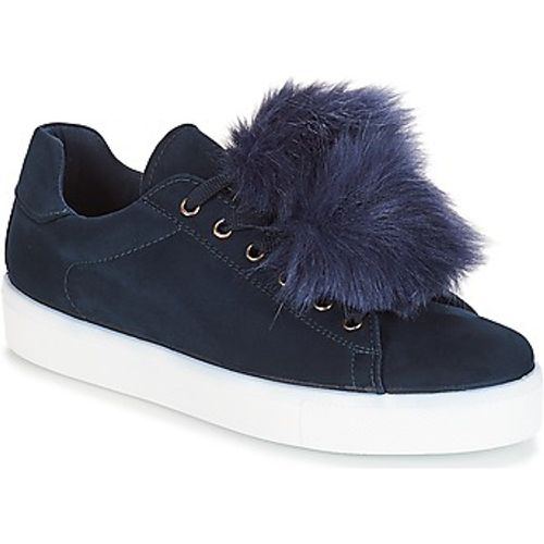 POMPON women's Shoes (Trainers) in - André - Modalova