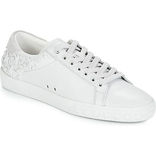 DAZED women's Shoes (Trainers) in - Ash - Modalova