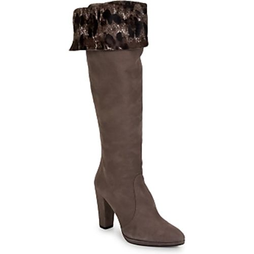 ZOOKEEPER women's High Boots in - Stuart Weitzman - Modalova