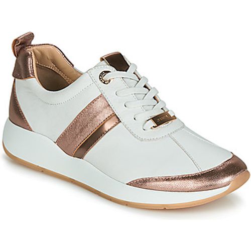 KAP women's Shoes (Trainers) in - JB Martin - Modalova