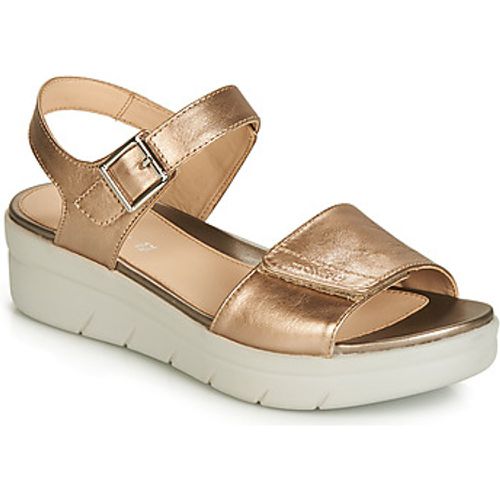 AQUA III 2 LAMINATED women's Sandals in - Stonefly - Modalova