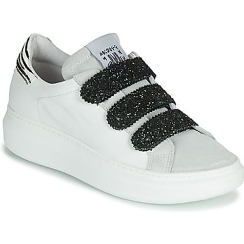 SCRATCHO women's Shoes (Trainers) in - Meline - Modalova