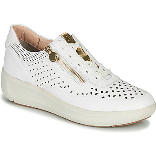 ROCK 10 women's Shoes (Trainers) in - Stonefly - Modalova