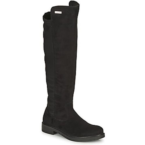 LOUPIOTE women's High Boots in - Les Tropéziennes par M Belarbi - Modalova