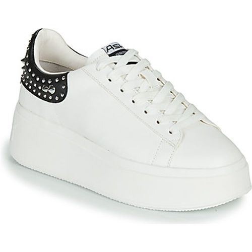 MOBY STUDS women's Shoes (Trainers) in - Ash - Modalova