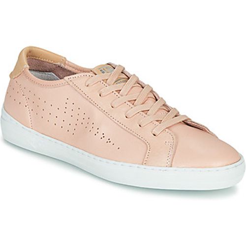 NARCOTIC women's Shoes (Trainers) in - PLDM by Palladium - Modalova