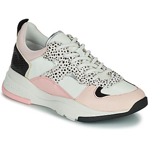 IZSLA women's Shoes (Trainers) in - Ted Baker - Modalova