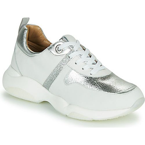 WILO women's Shoes (Trainers) in - JB Martin - Modalova