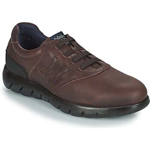 PLUVIAM men's Casual Shoes in - CallagHan - Modalova