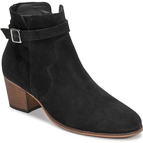 POLE women's Low Ankle Boots in - Betty London - Modalova