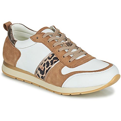 PERMINE women's Shoes (Trainers) in - Betty London - Modalova