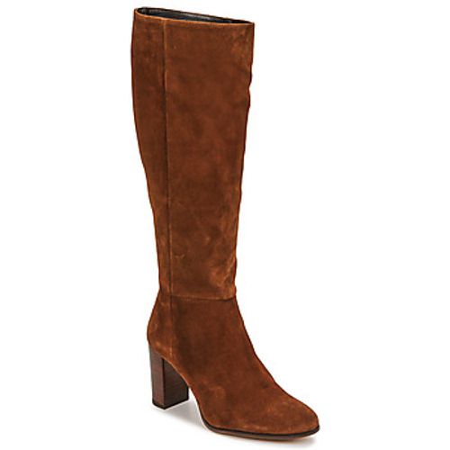 PINO women's High Boots in - Fericelli - Modalova