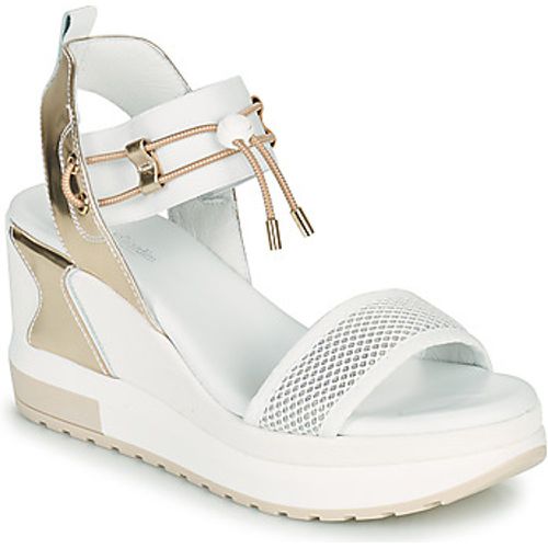 E219045D-707 women's Sandals in - NeroGiardini - Modalova