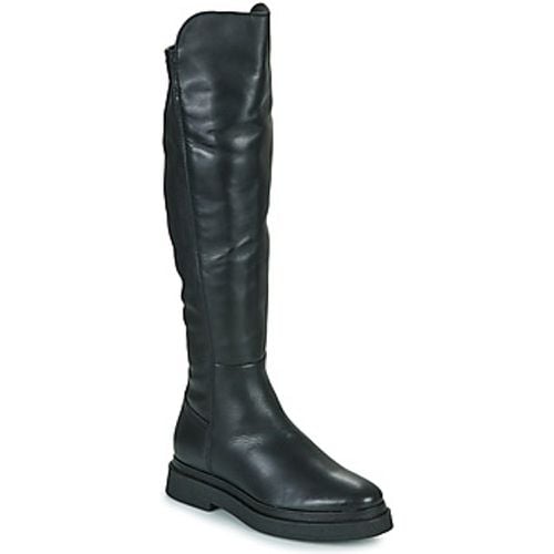 OLYMPE women's High Boots in - JB Martin - Modalova