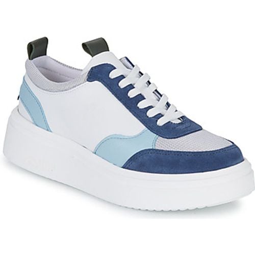 BELFAST men's Shoes (Trainers) in - Yurban - Modalova