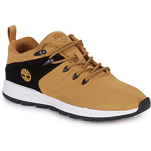 SPRINT TREKR LOW KNIT men's Shoes (Trainers) in - Timberland - Modalova