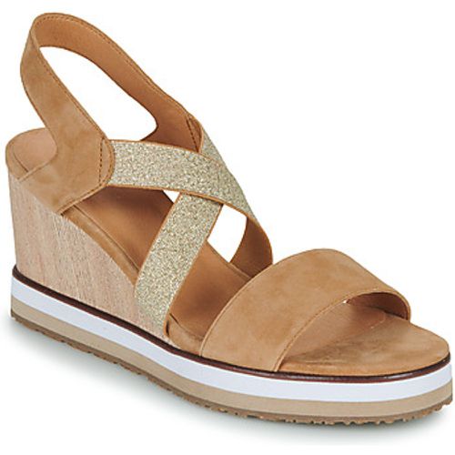 RIXEL women's Sandals in - Mam'Zelle - Modalova