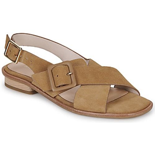 OPALE BUCKLE women's Sandals in - Schmoove - Modalova