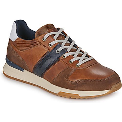 K26213FCONA men's Shoes (Trainers) in - Bullboxer - Modalova