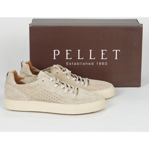 SANDRON men's Shoes (Trainers) in - Pellet - Modalova