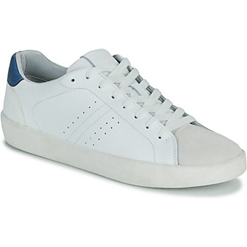 U AFFILE men's Shoes (Trainers) in - Geox - Modalova