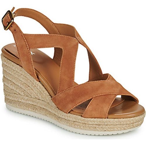 D PONZA women's Sandals in - Geox - Modalova