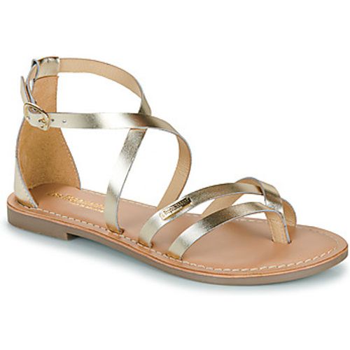 DAROZ women's Sandals in - Les Tropéziennes par M Belarbi - Modalova