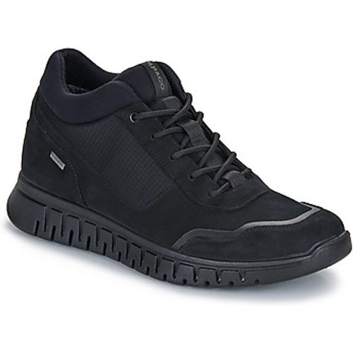 IgI&CO U.EDO GTX men's Shoes (High-top Trainers) in - IGI&Co - Modalova