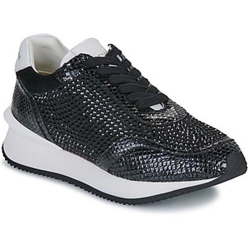 I241210 women's Shoes (Trainers) in - Alma en Pena - Modalova