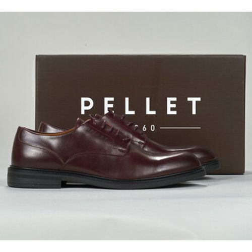 ALI men's Casual Shoes in - Pellet - Modalova