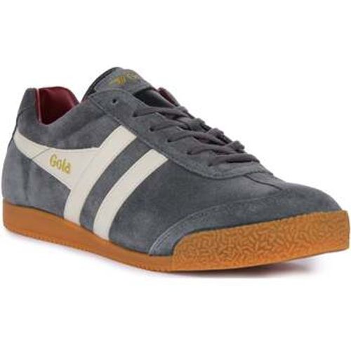 Harrier Low Storm men's Trainers in - Gola - Modalova